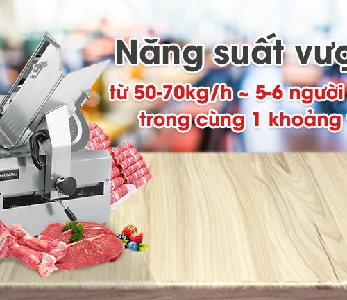 Máy thái thịt ASL300